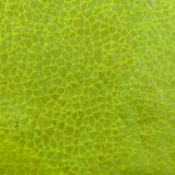 Nylon Spandex Holographic Snake Fabric 60"