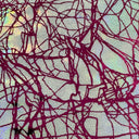 Polyester Spandex Foggy Foil Fabric 4-Way Stretch Chaos