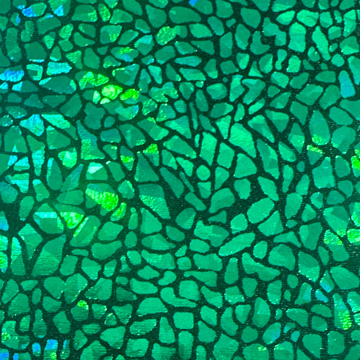 Nylon Spandex Holographic Snake Fabric 60"