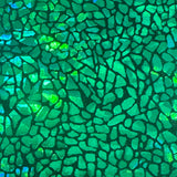 Nylon Spandex Holographic Snake Fabric 60"