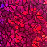 Nylon Spandex Holographic Snake Fabric 60"