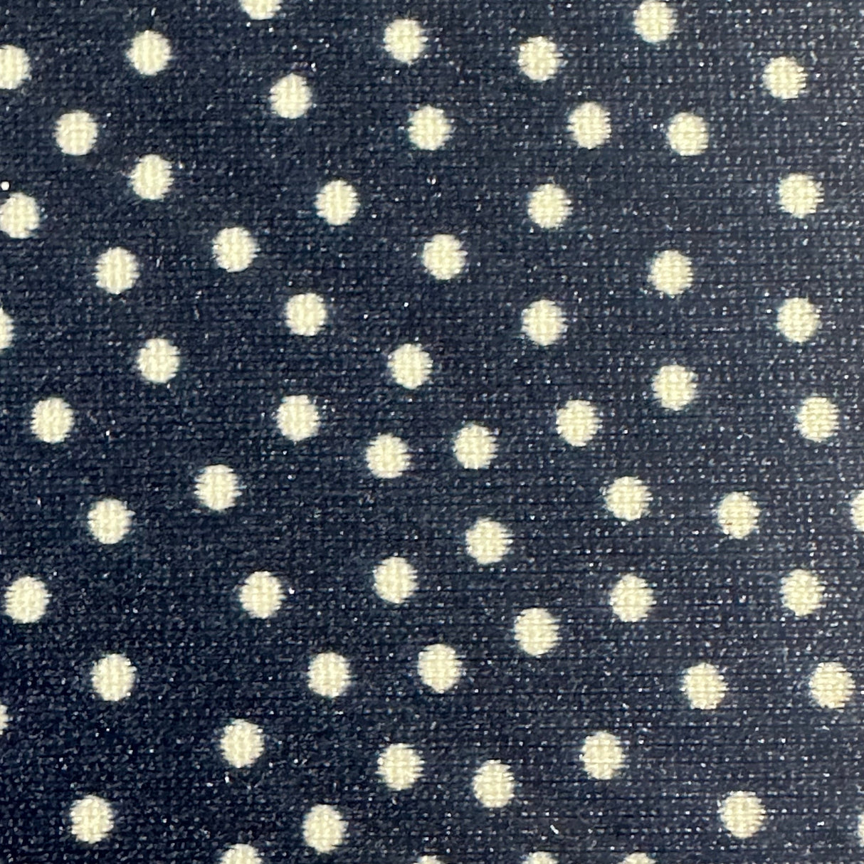Nylon Spandex Doty Dot Jumbo Stretch Fabric 45" Black