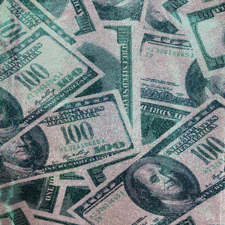 Hologram Mystique Money Print Polyester Nylon Spandex Fabric - Money Print, 60" Width (1 Yard)