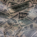 Hologram Mystique Money Print Polyester Nylon Spandex Fabric - Money Print, 60" Width (1 Yard)