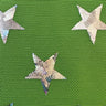 Power Mesh Star Hologram Foil Fabric 60" Width
