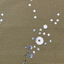 Power Mesh Fabric with Sequin Lola 60"
