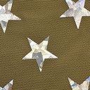 Power Mesh Star Hologram Foil Fabric 60" Width