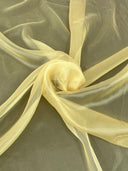 Shimmering Crystal Organza
