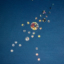 Power Mesh Fabric with Sequin Lola 60"