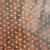 Polyester Spandex Zebra Hologram Fabric 60" Brown