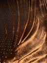 New Studded Velvet Polyester Spandex Fabric - Studded Velvet, Red, Green, Midnight Blue, Black, Brown, 58-60" Width
