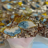 Stretch Sequins Floral Fabric Multicolor