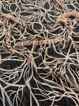 Stretch Sequin Embroidered Mesh Peach