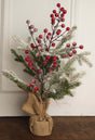 19” Frosted Tree with Berries