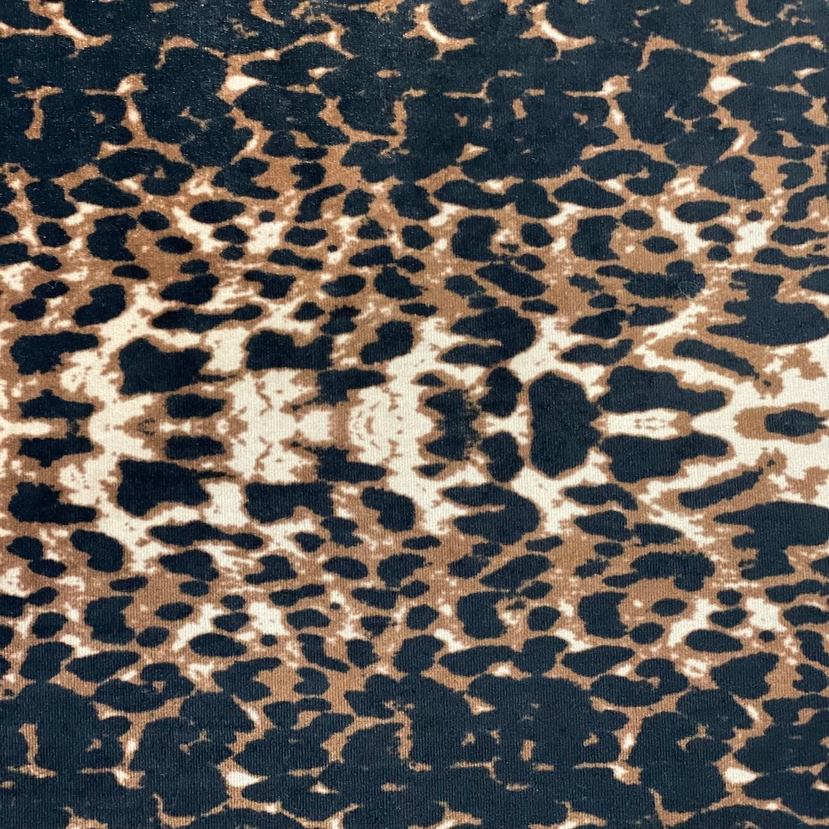 Stretch Velvet Fabric Leopard Print 60" Wide