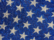 White Star Printed Sequin Mesh Fabric - White Star Print, 4-Way Stretch, Medium Weight (1 Yard)