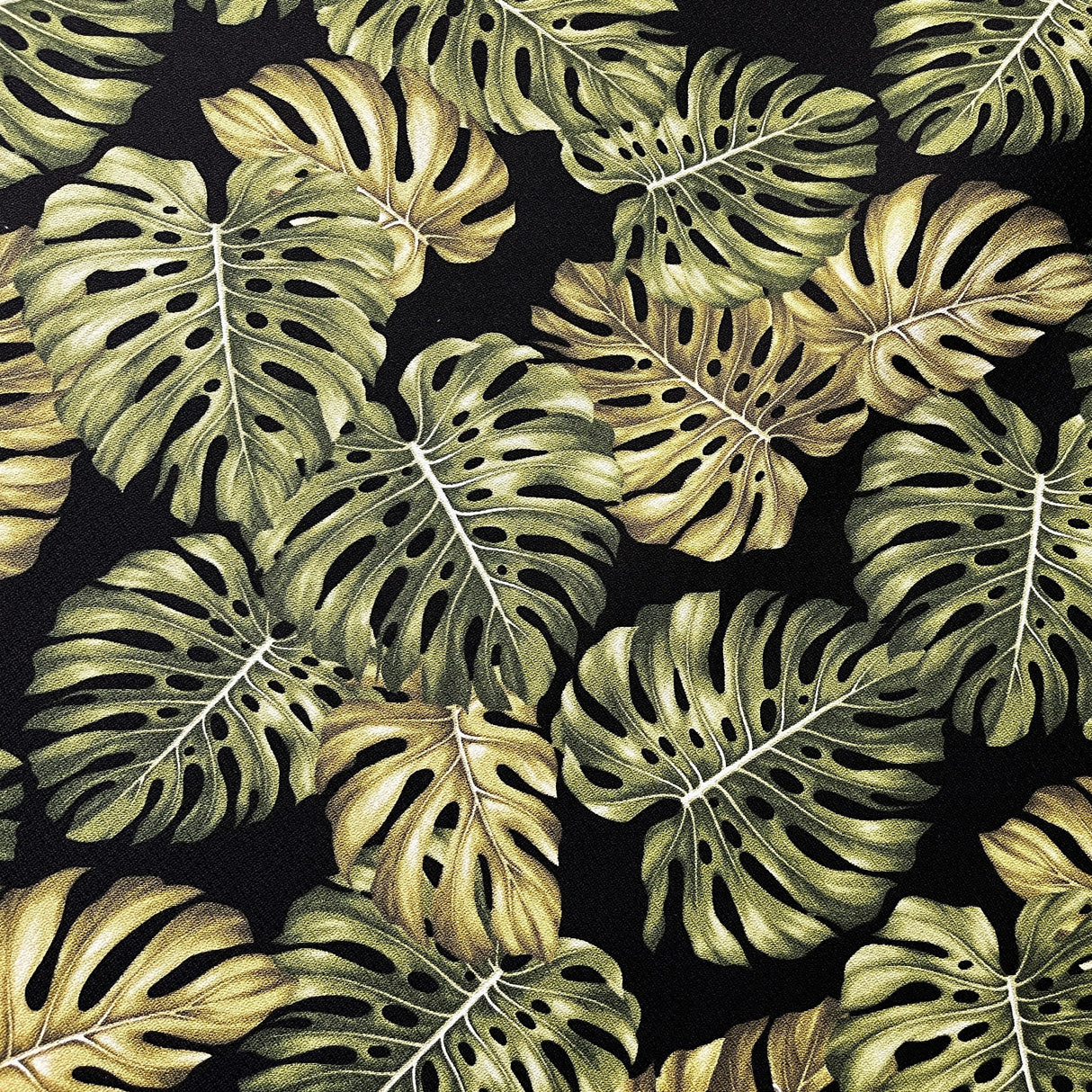 Monstera Leaf 100 Percent Cotton Fabric - Monstera Leaf Print, Light Blue, Black, Ivory, 56" Width (1 Yard)