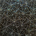 Hologram Web Mesh Poly Spandex Fabric Black 60"