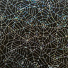 Hologram Web Mesh Poly Spandex Fabric Black 60"