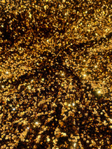 Sequin Velvet Deep Gold
