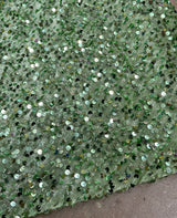 Stretch Sequin Velvet Sage Green