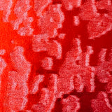 Velvet Fabric Embossed Island Stretch Foil Print