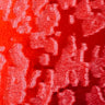 Velvet Fabric Embossed Island Stretch Foil Print