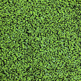 Sequins Embroidered Stretch Velvet Rodeo Fabric - 100 Percent Polyester Fabric, 2-Way Stretch, 60" Width, Sequins 54" Width, Multiple Colors (1 Yard)