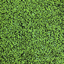Stretch Velvet Sequin Rodeo Fabric