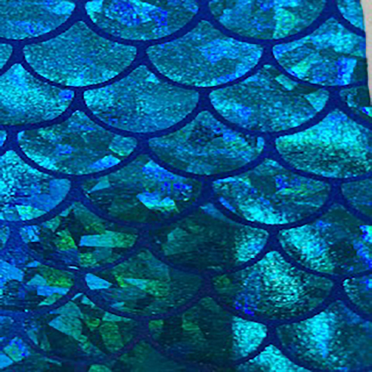 Nylon Spandex Hologram Mermaid Fabric