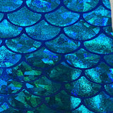 Nylon Spandex Hologram Mermaid Fabric