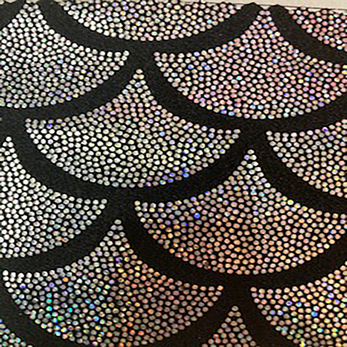 Hologram Nylon Spandex Fabric Jumbo Shell 60"