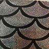 Hologram Nylon Spandex Fabric Jumbo Shell 60"