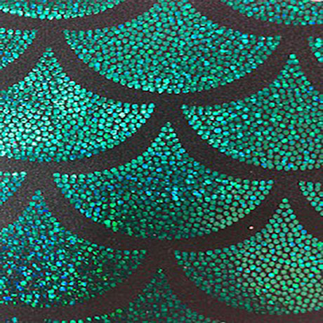 Hologram Nylon Spandex Fabric Jumbo Shell 60"