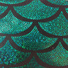 Hologram Nylon Spandex Fabric Jumbo Shell 60"