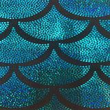 Hologram Nylon Spandex Fabric Jumbo Shell 60"