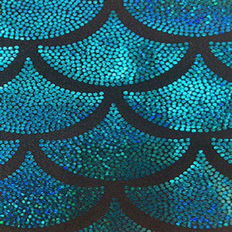 Hologram Nylon Spandex Fabric Jumbo Shell 60"