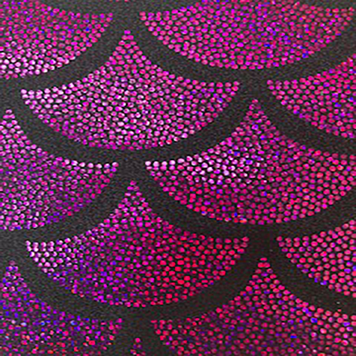 Hologram Nylon Spandex Fabric Jumbo Shell 60"