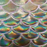Polyester Spandex Shell Fabric Iridescent Foil 60"