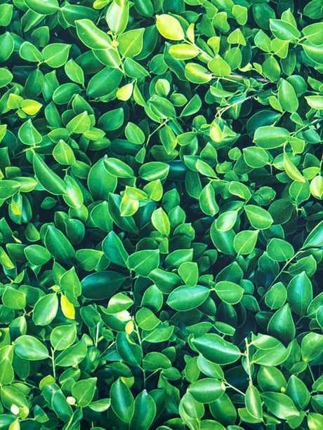 Green Leaves Spandex Fabric - Green Leaves Print, 58"/60" Width (1 Yard)