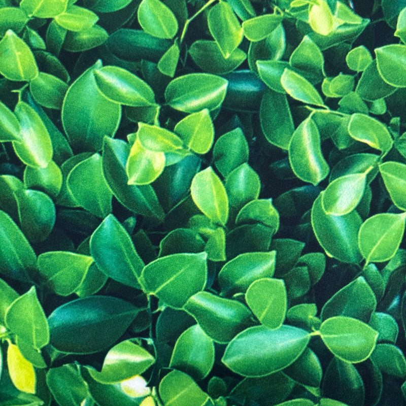Green Leaves Spandex Fabric - Green Leaves Print, 58"/60" Width (1 Yard)