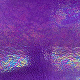 Nylon Spandex Rainbow Crystal Snake Fabric 60"