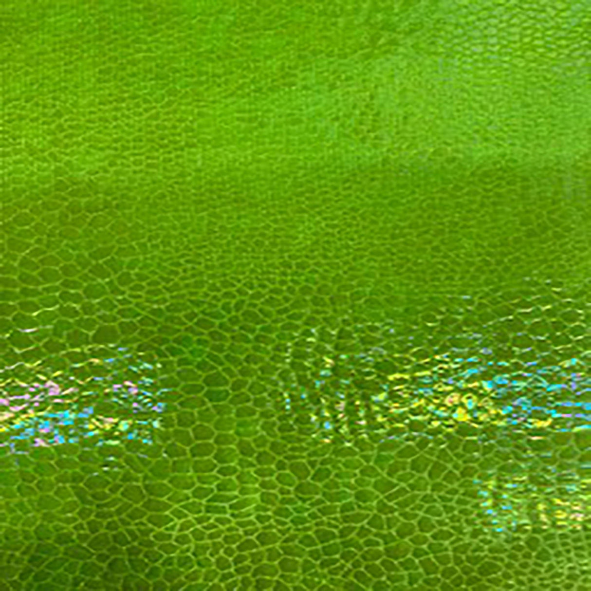 Nylon Spandex Rainbow Crystal Snake Fabric 60"