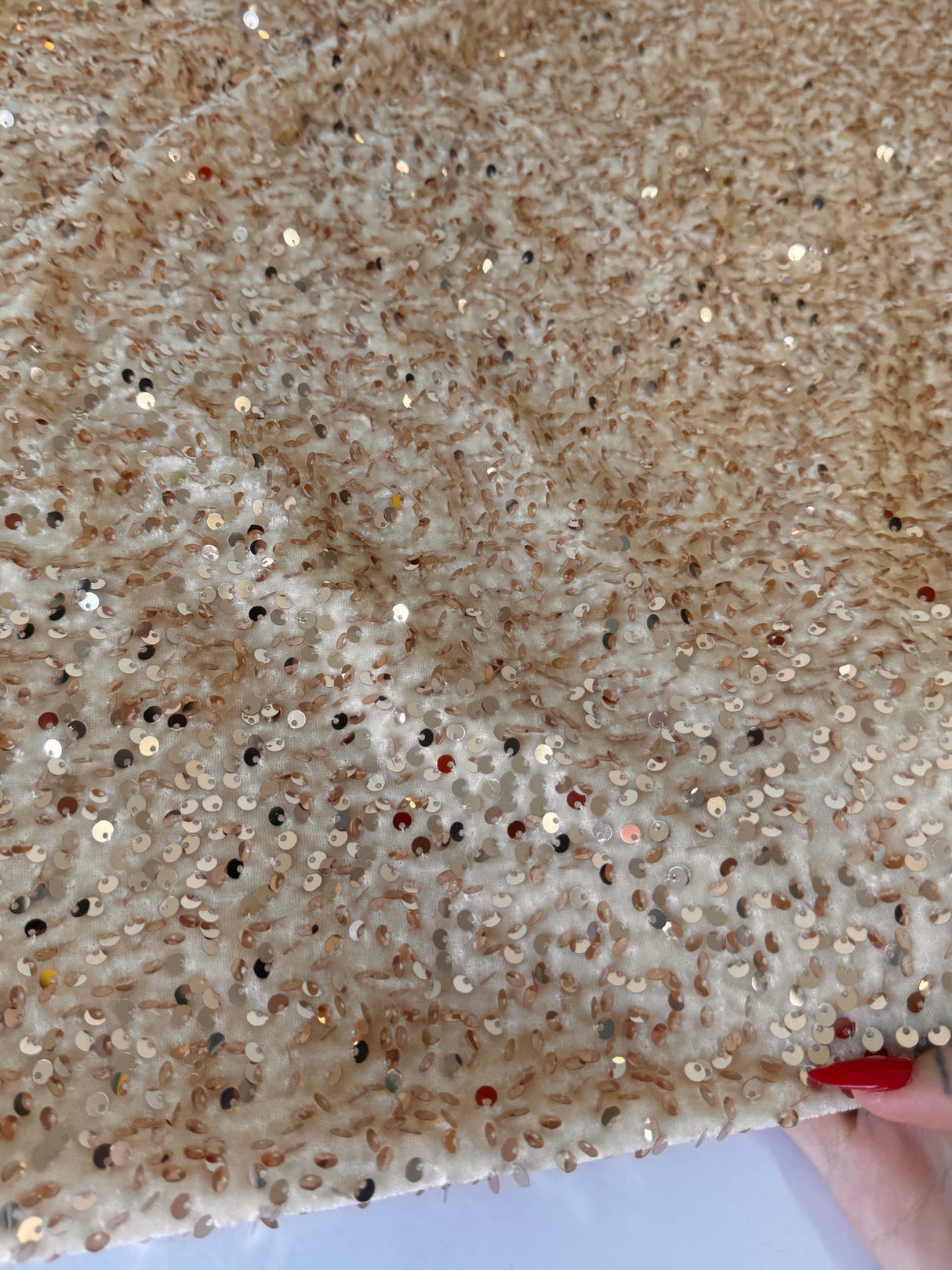 Sequin Velvet Cream Champagne