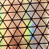 Hologram Tricot Fabric 4-Way Stretch 60"