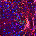 Hologram Vinyl Spandex Broken Glass Fabric 60"