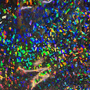 Hologram Vinyl Spandex Broken Glass Fabric 60"