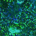 Hologram Vinyl Spandex Broken Glass Fabric 60"