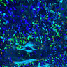 Hologram Vinyl Spandex Broken Glass Fabric 60"