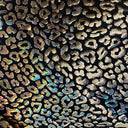 Nylon Spandex Cheetah Hologram Fabric 60"